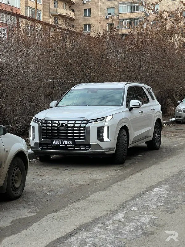 Hyundai Palisade — до работ